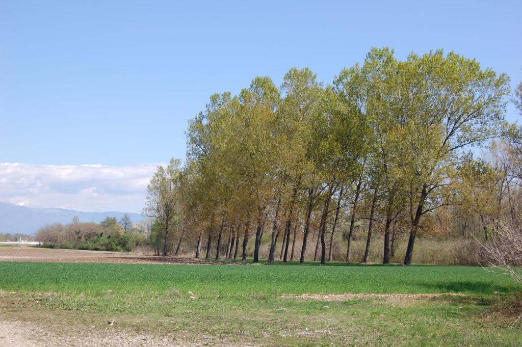 Soligo Locanda La Candola المظهر الخارجي الصورة